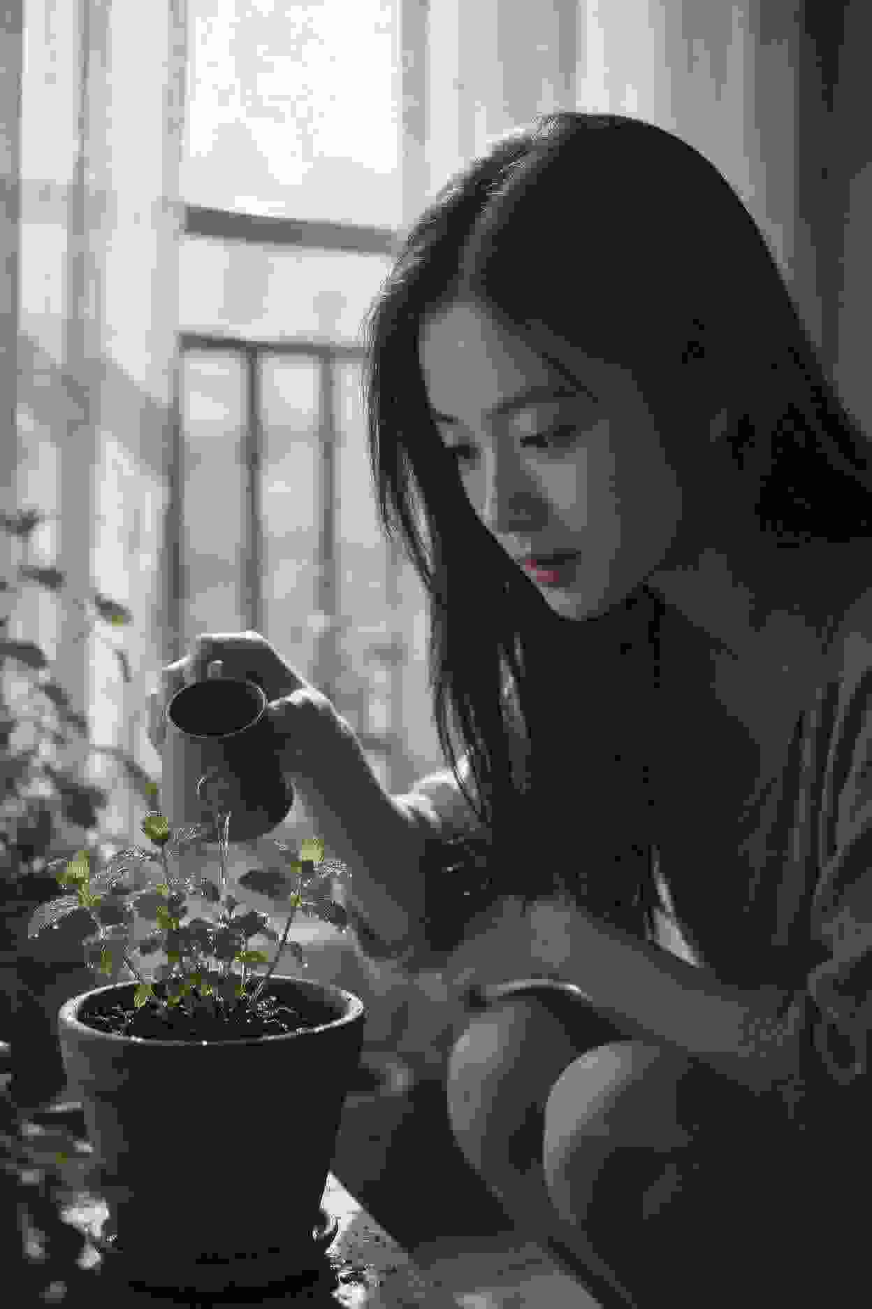 电影作品